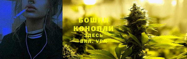ПСИЛОЦИБИНОВЫЕ ГРИБЫ Абдулино