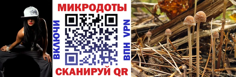 купить сайты MEGA как зайти Галлюциногенные грибы GOLDEN TEACHER Усмань